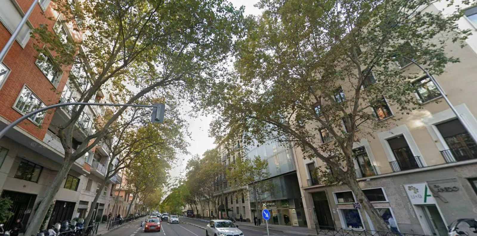 Ático dúplex en venta en Calle Ayala